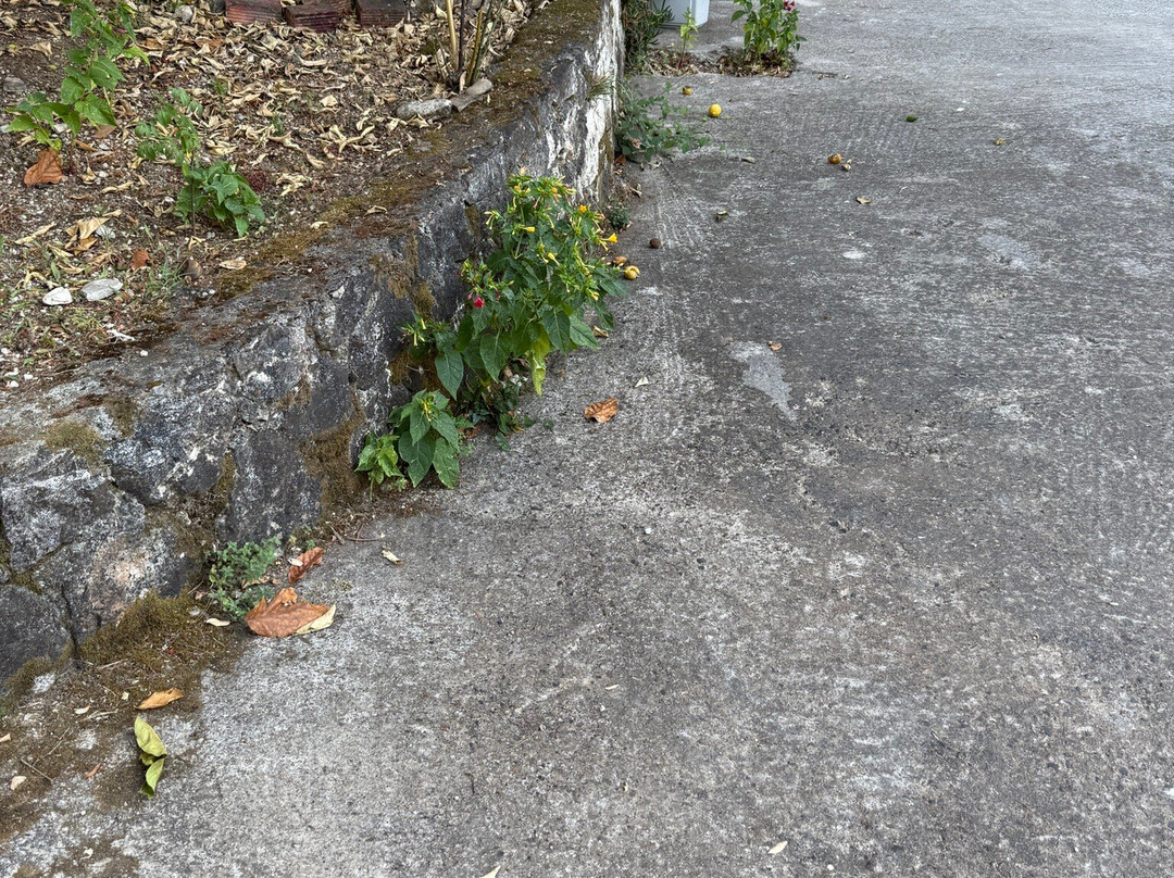 Vliho Bay Suites & Apartments主图