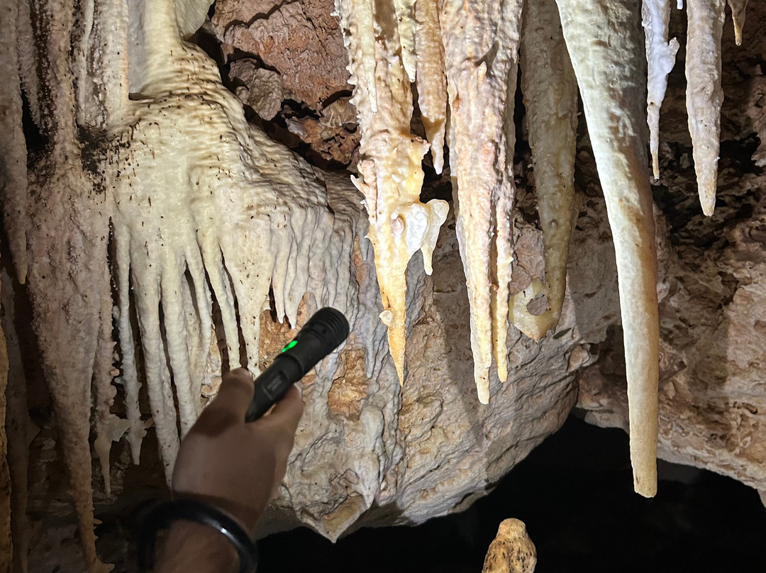 Go Caving Bonaire-Kralendijk必去景点