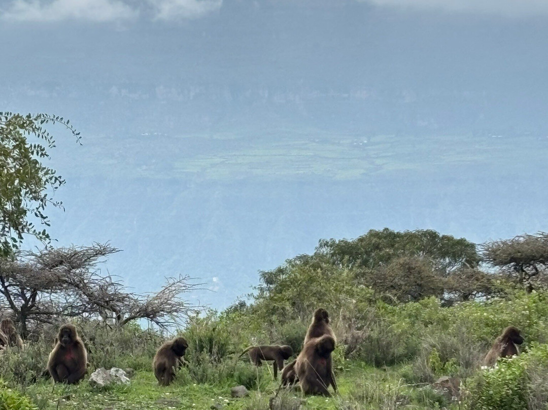 myGuzo-亚的斯亚贝巴必去景点
