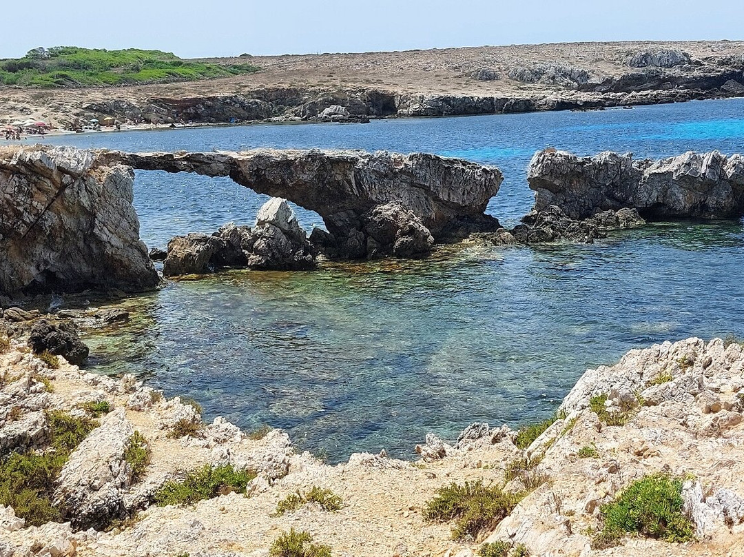 Cala Rotonda - Arco di Ulisse-法维格纳纳必去景点