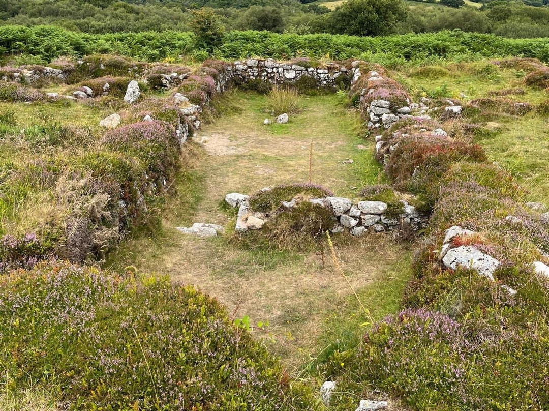 Hound Tor-达特穆尔国家公园必去景点