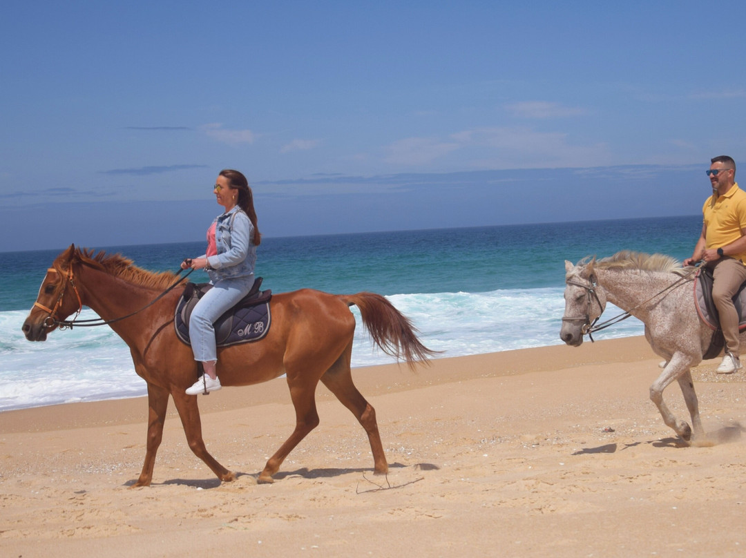 Passeios a Cavalo Melides-Melides必去景点