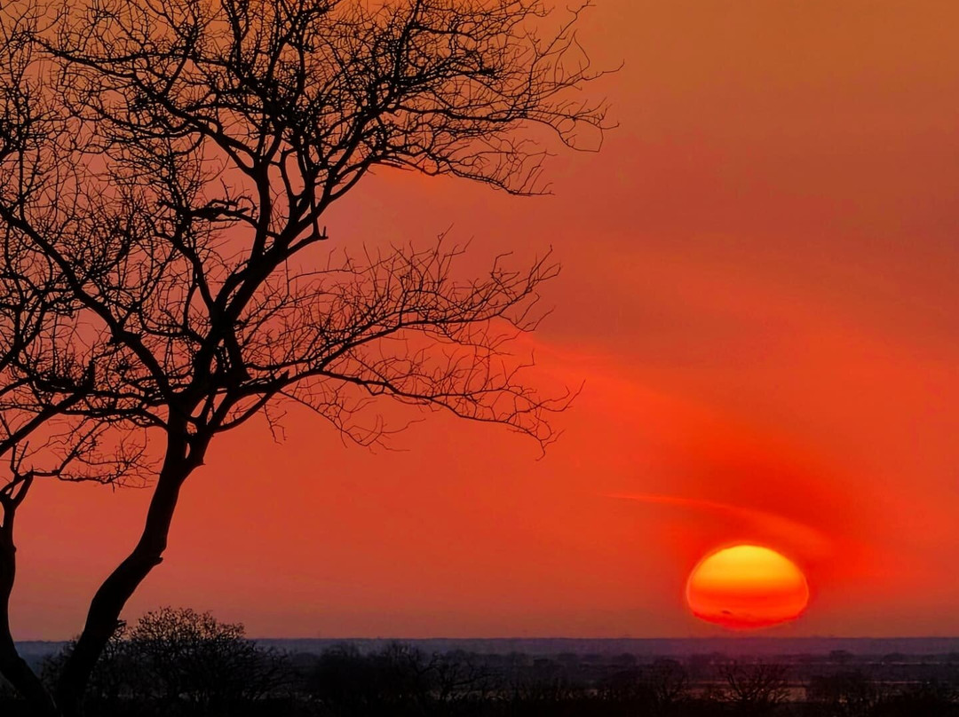 Safari Kenya Con Aragosta-瓦塔木必去景点