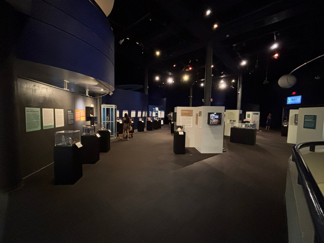 Museum of Science and History-杰克逊维尔必去景点