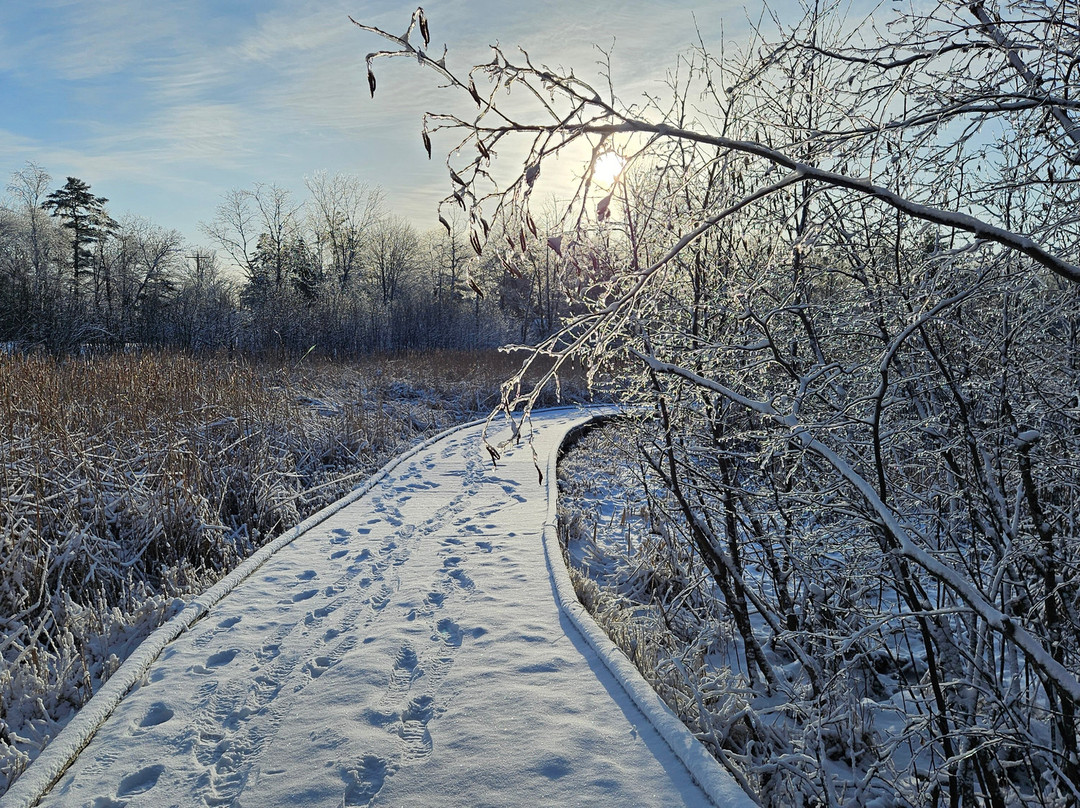 Schmeeckle Reserve-Stevens Point必去景点