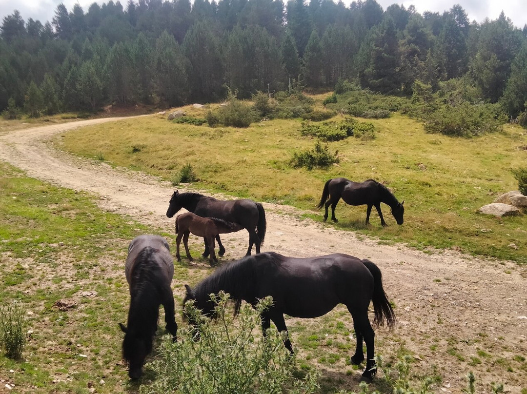 Plateau de Beille-Albies必去景点