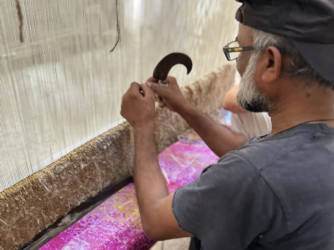 Active India Holidays-新德里必去景点