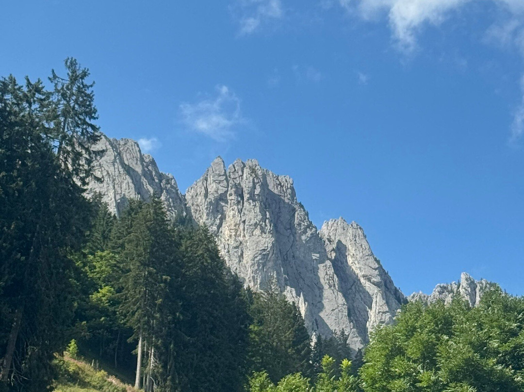 Berghotel Zur Sau主图