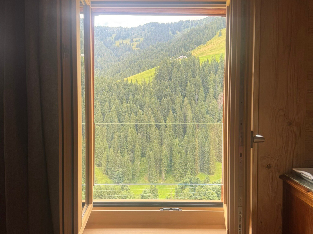 Berghotel Zur Sau主图