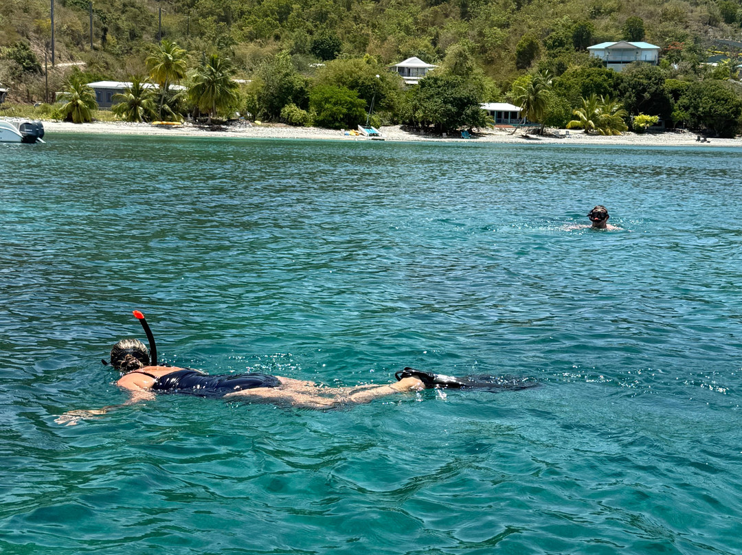 Dockside Dinghy-Coral Bay必去景点