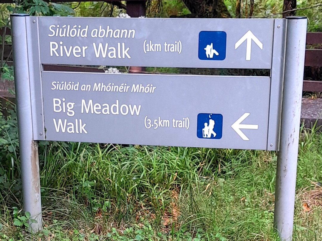 Glengarriff Nature Reserve-Glengarriff必去景点