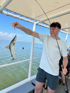 Dauphin Island Marina-Dauphin Island必去景点