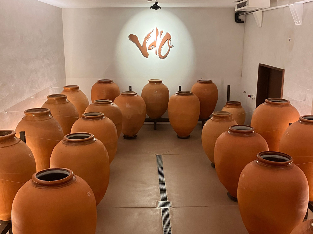 Vinyes d'Olivardots-Capmany必去景点