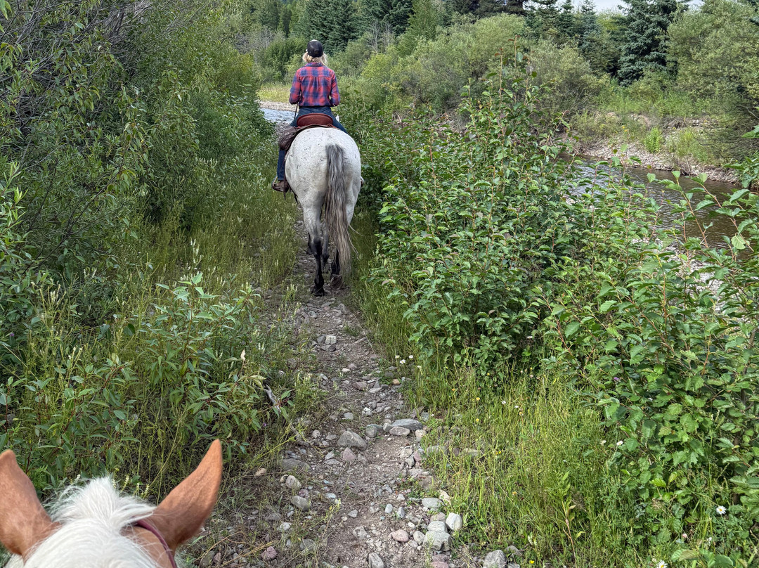 Snowy Springs Outfitters-Essex必去景点