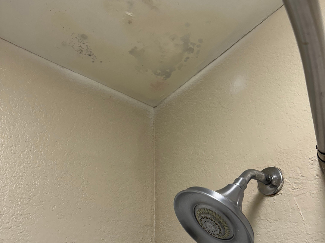 Baymont by Wyndham Manning主图