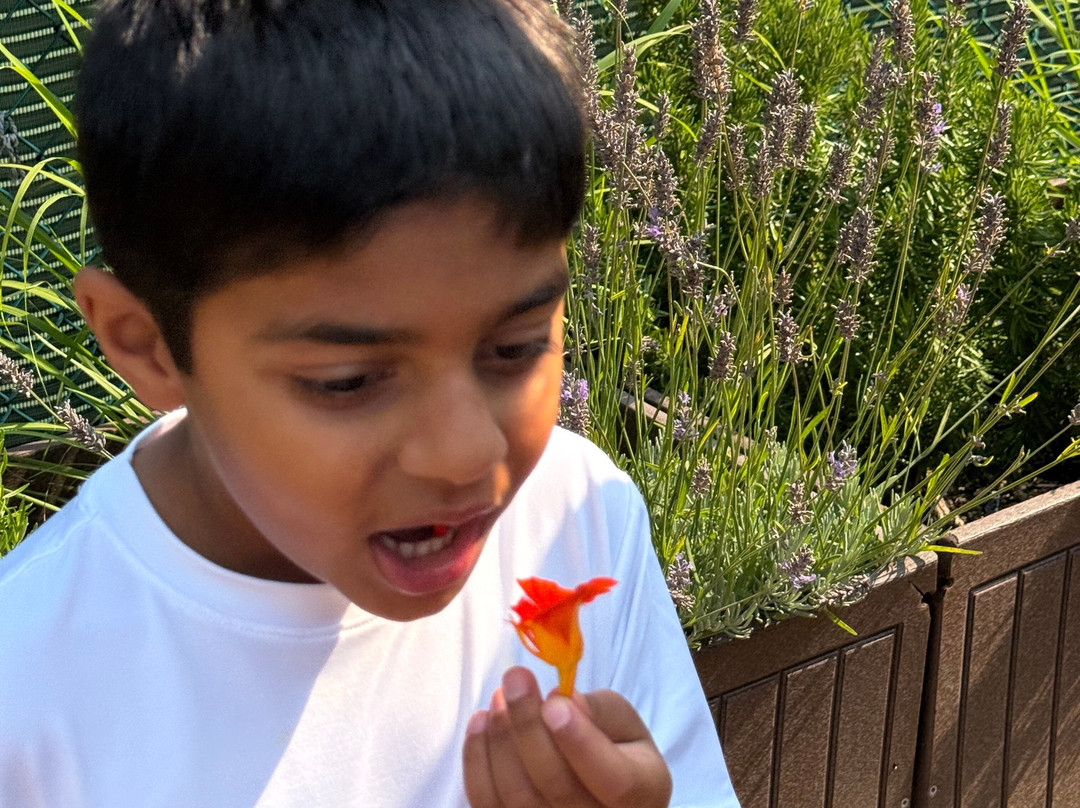 Eco-Adventure Center at The Ritz-Carlton, Laguna Niguel-德纳角必去景点