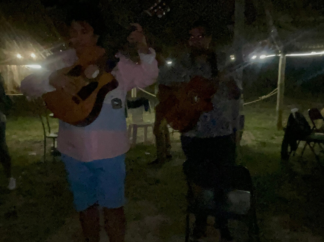 Manade Vitou de Fontmarie-Castries必去景点