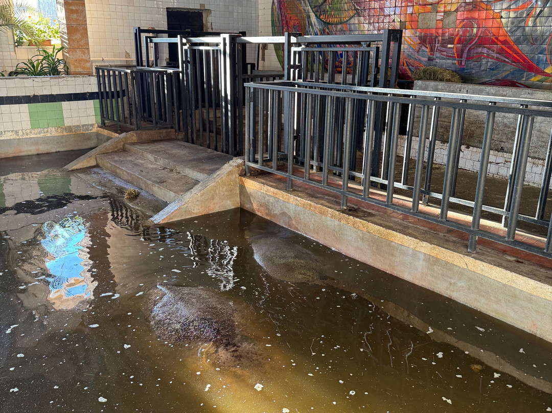 Kaliningrad Zoopark-加里宁格勒必去景点