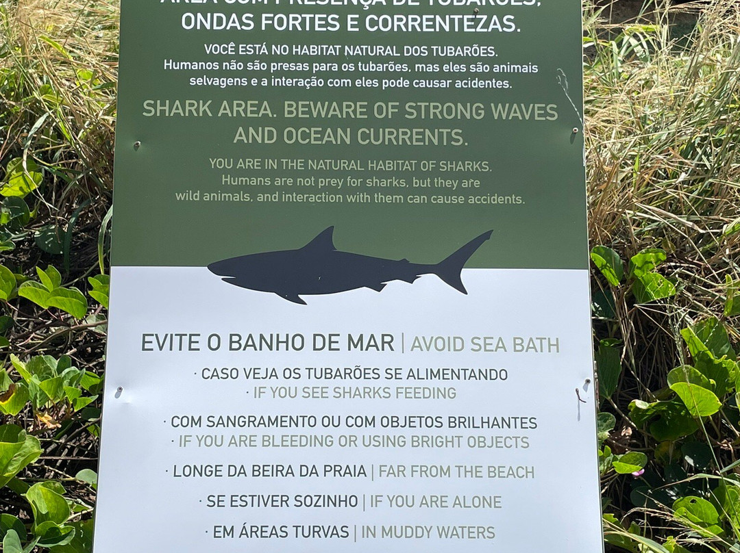 Leao Beach-费尔南多-迪诺罗尼亚群岛必去景点