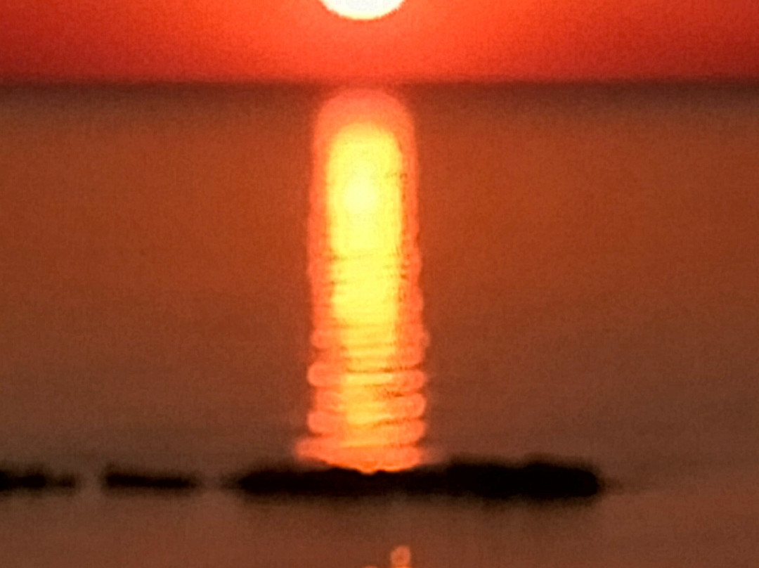 Hotel Palmarosa主图