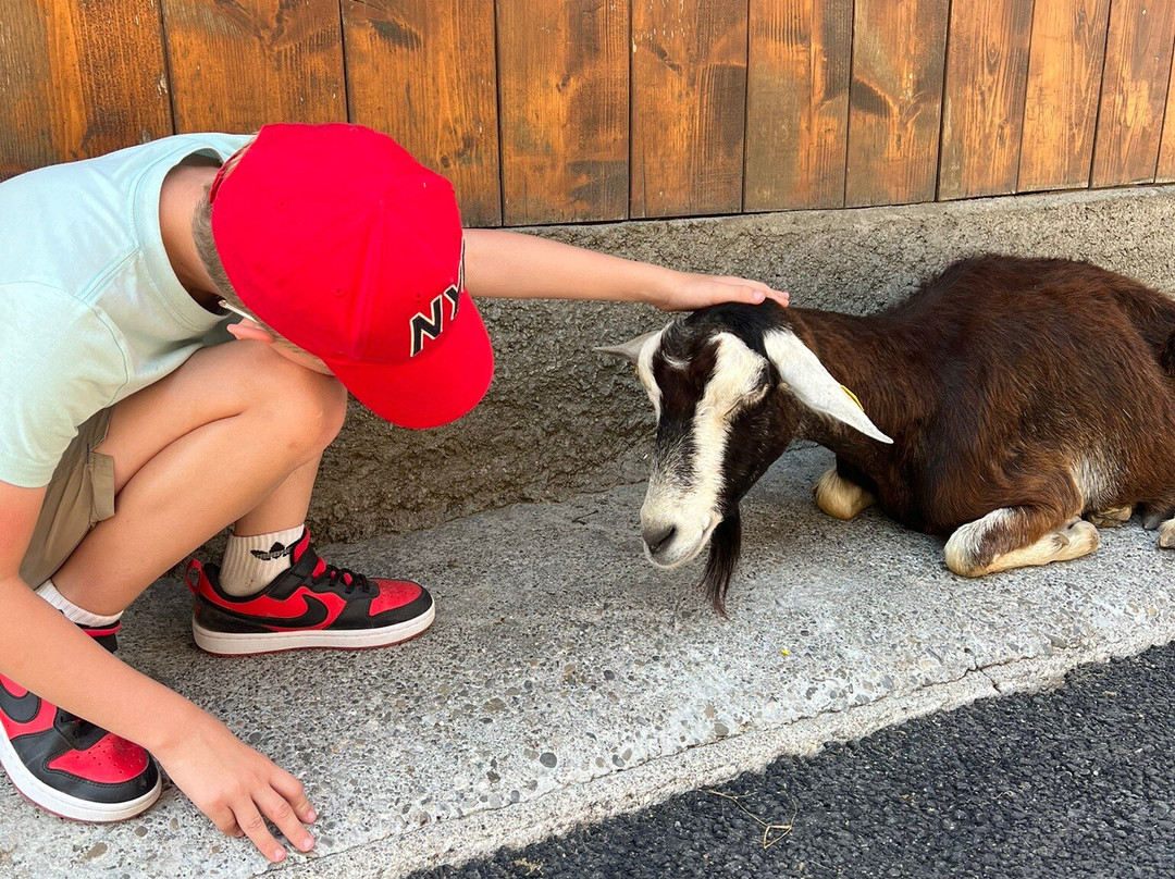 Les Lindarets Village des Chevres-Montriond必去景点