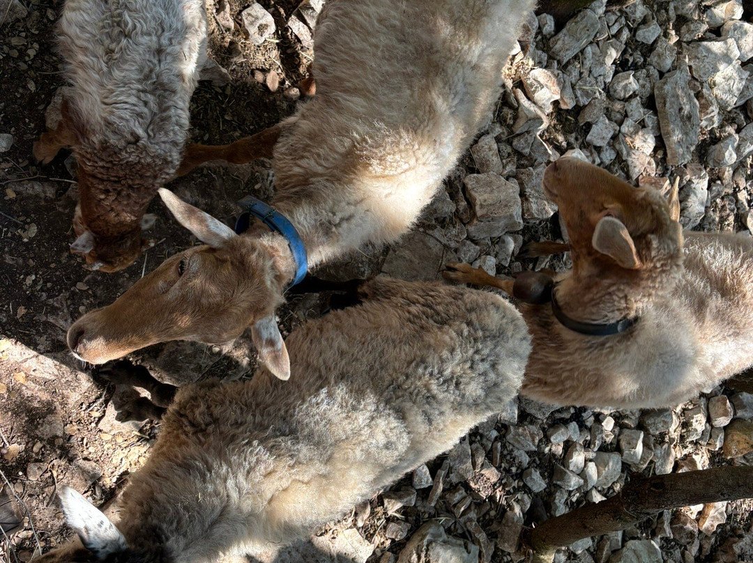 Odysseus Theme Park-萨米必去景点