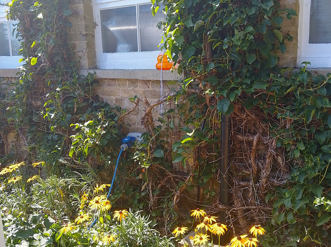 Emmetts Garden-Sevenoaks必去景点