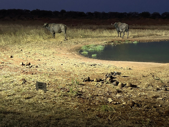 Madu Safari Kenya-瓦塔木必去景点
