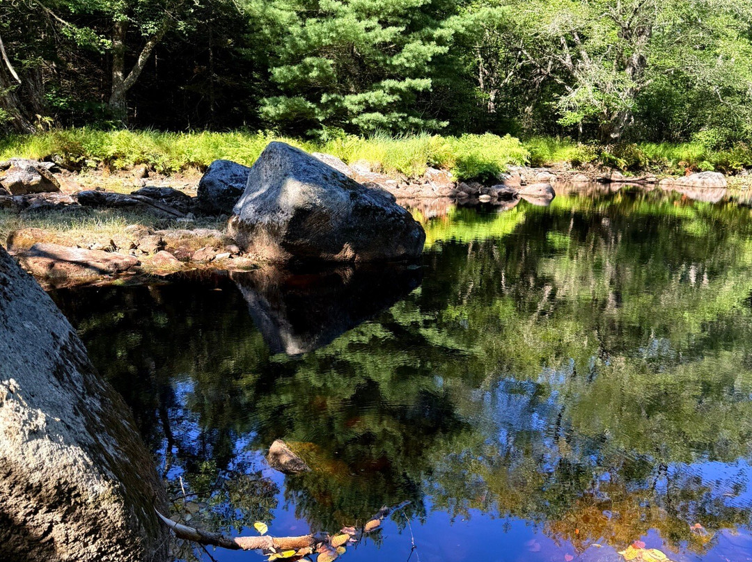 Trout Point Lodge of Nova Scotia主图