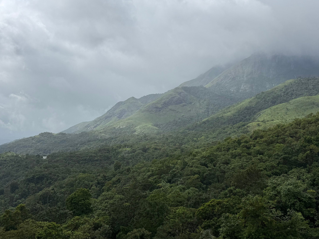 Wild Planet Bana Heights主图