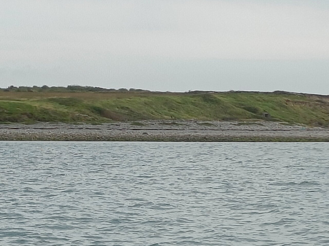 Dolphin Discovery-Kilrush必去景点