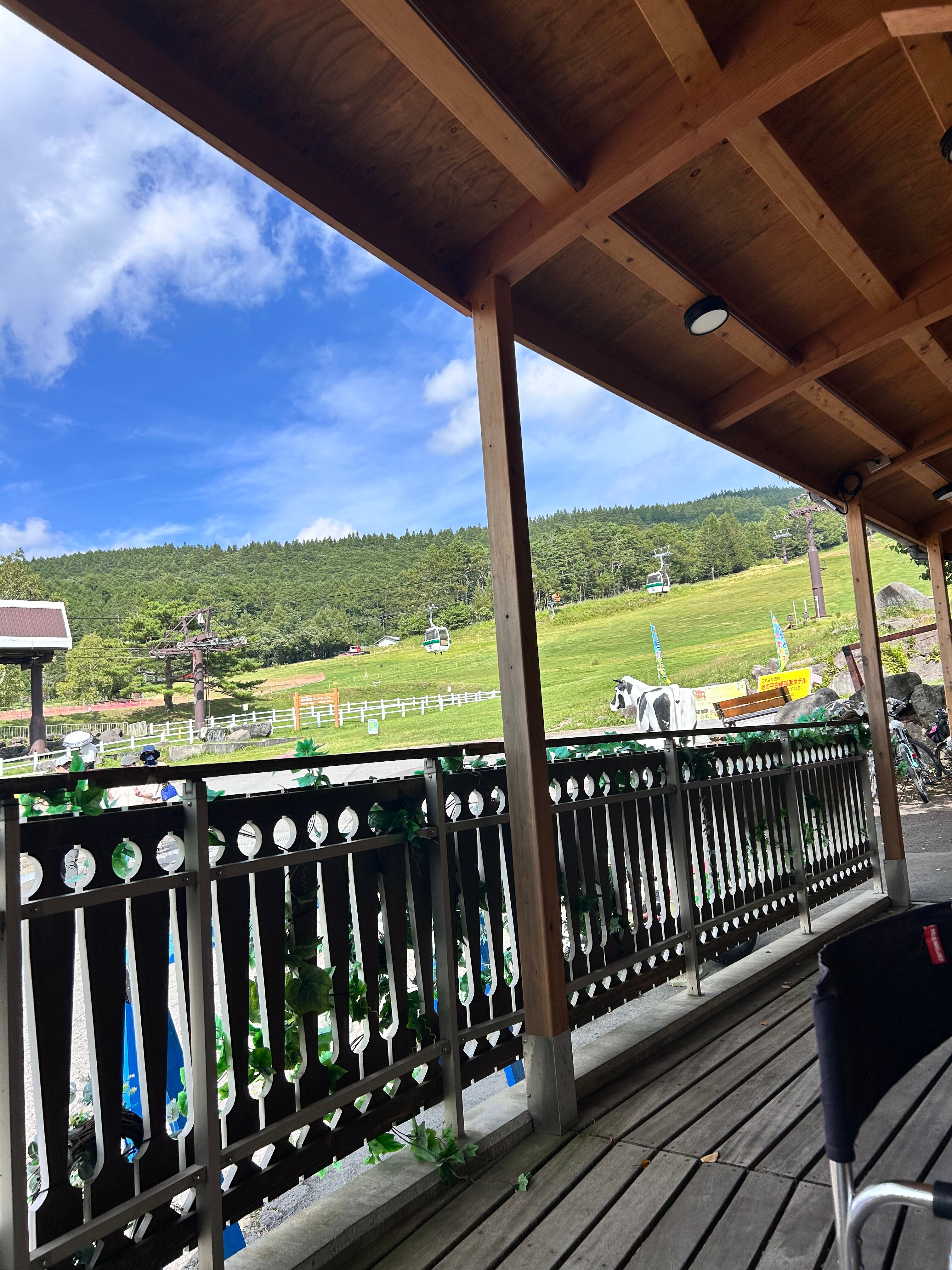 Ikenotaira Shirakaba Kogen Hotel-官方