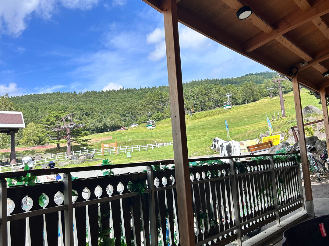 Ikenotaira Shirakaba Kogen Hotel主图