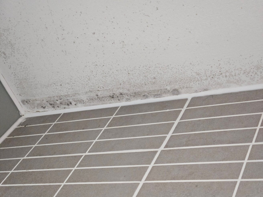 Holiday Inn Leamington Spa - Warwick by IHG主图