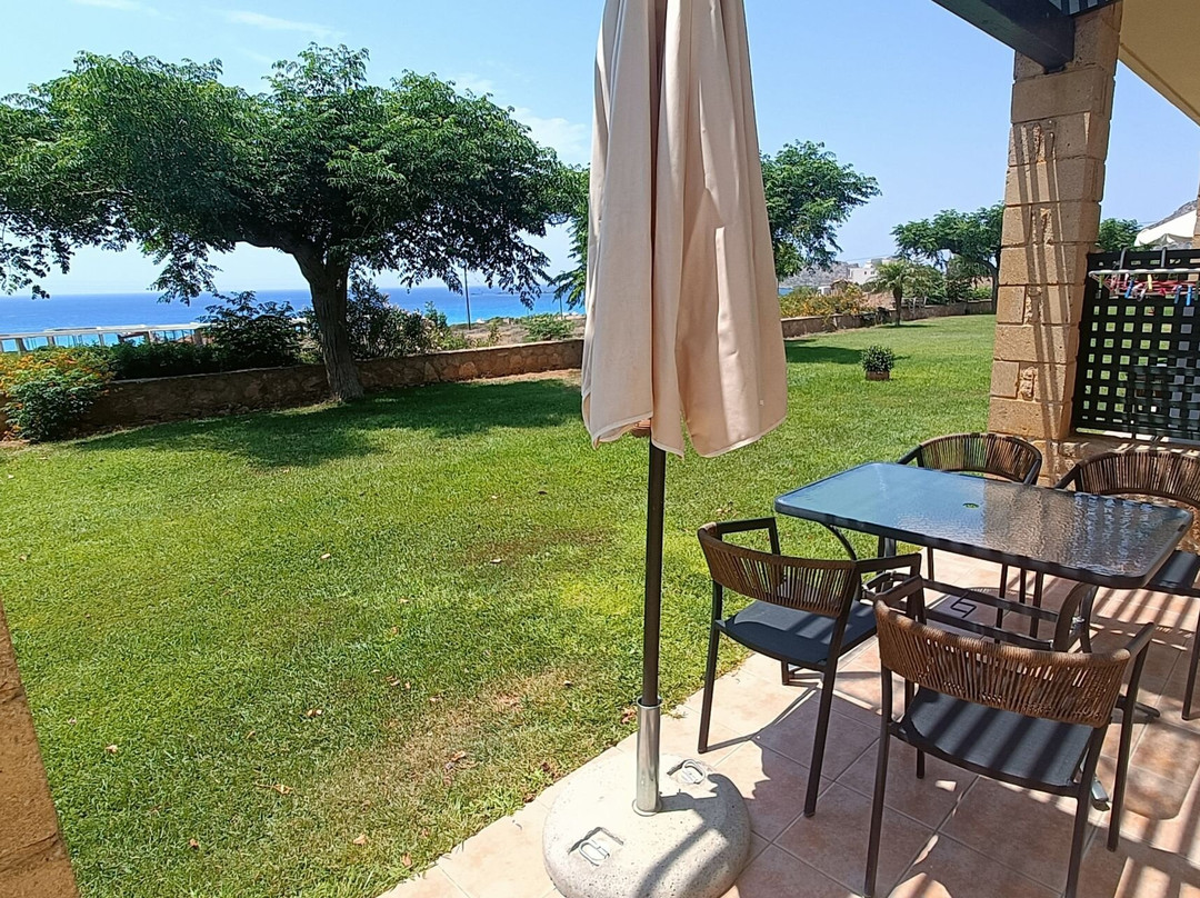 Magnolia Apartments & Studios主图