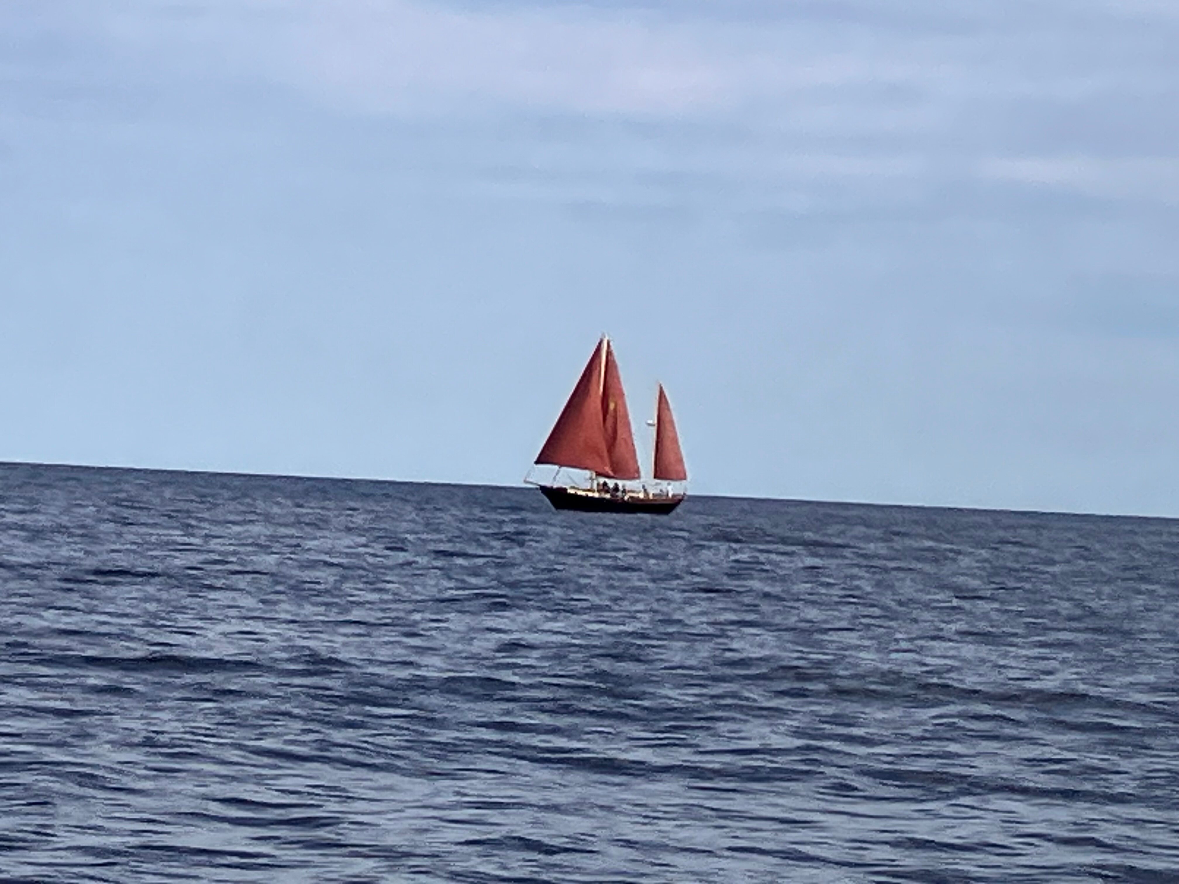 The Grand Hotel-官方