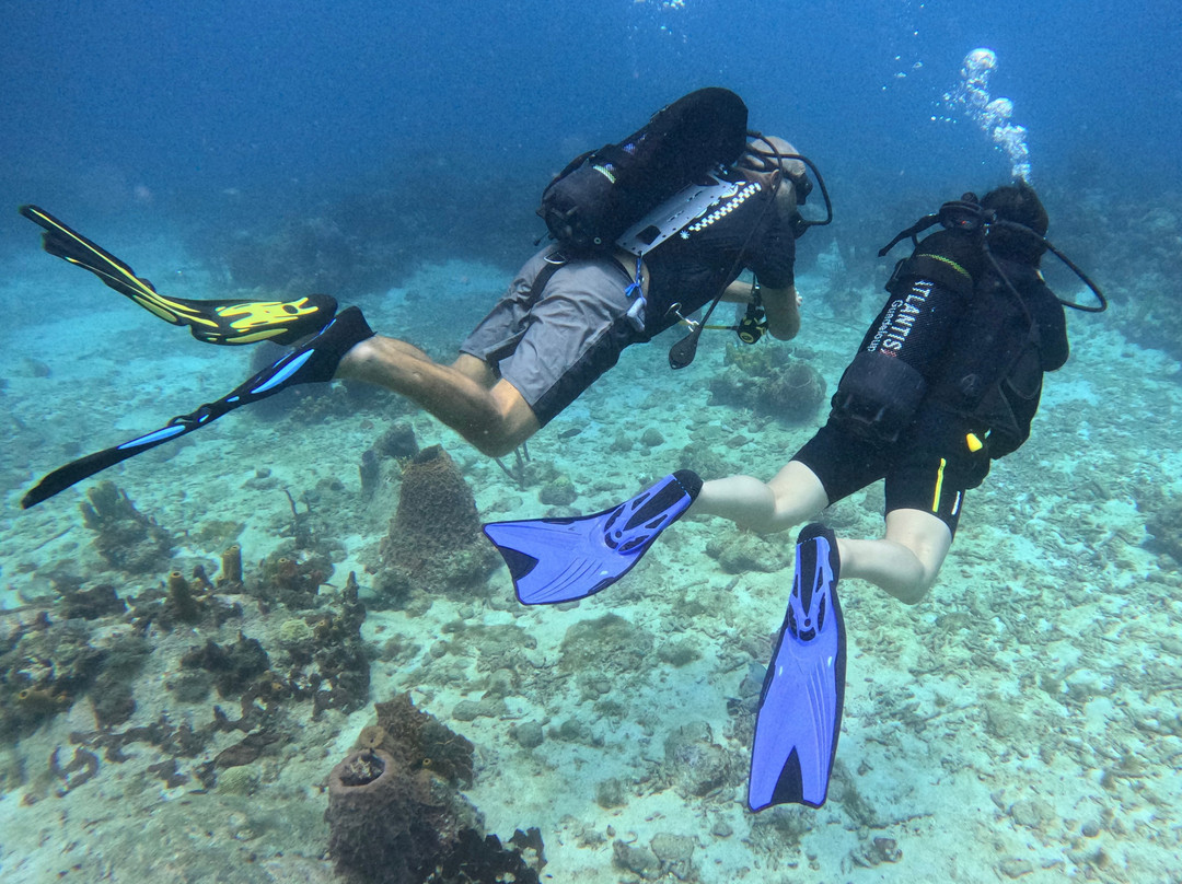 Atlantis Formation-Bouillante必去景点