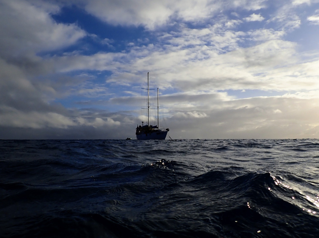 Rum Runner-凯恩斯必去景点