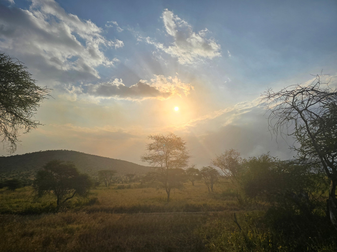 AfrikaKukaye Tours and Safaris-莫西必去景点