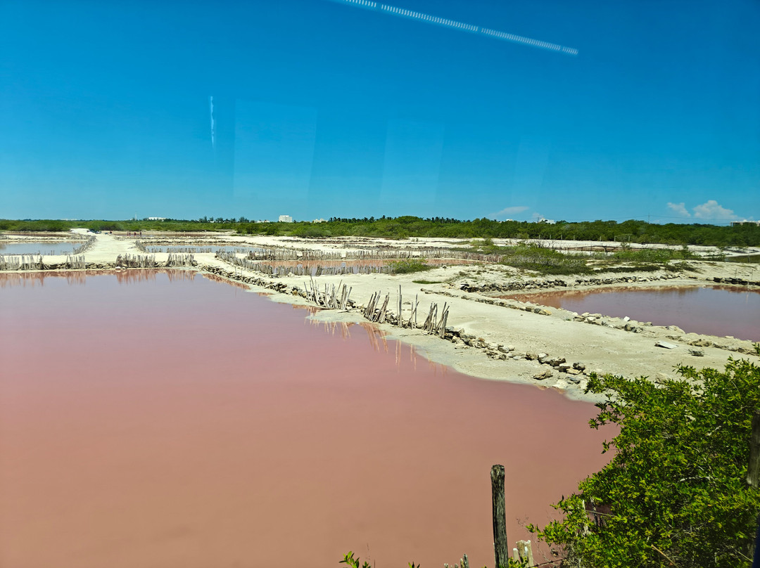 Grupo Auto Progreso-梅里达必去景点