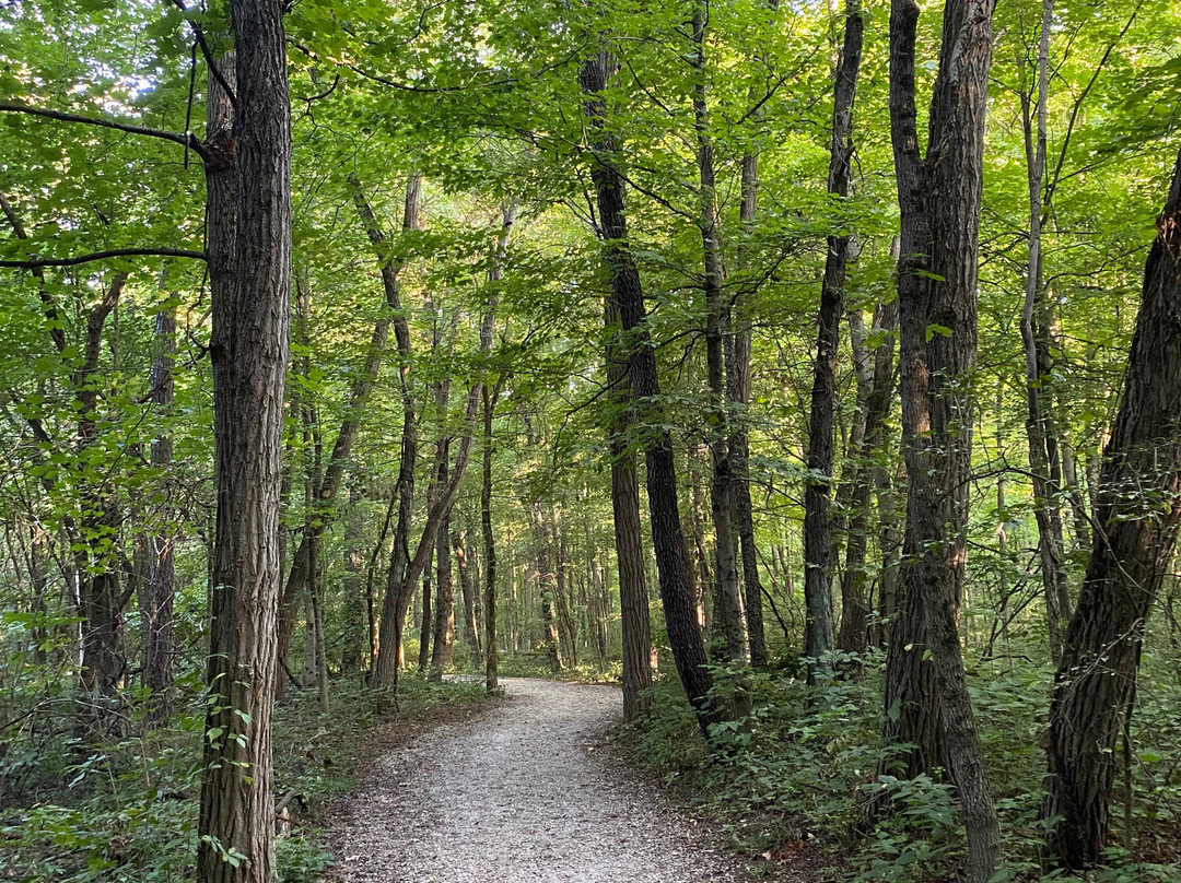 Charleston Falls Preserve-Tipp City必去景点