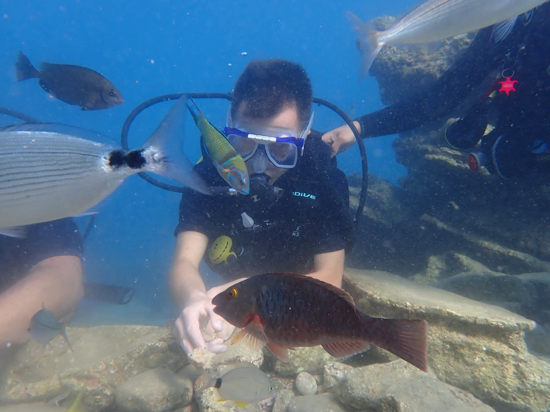 Sarıgerme Diving-Sarigerme必去景点