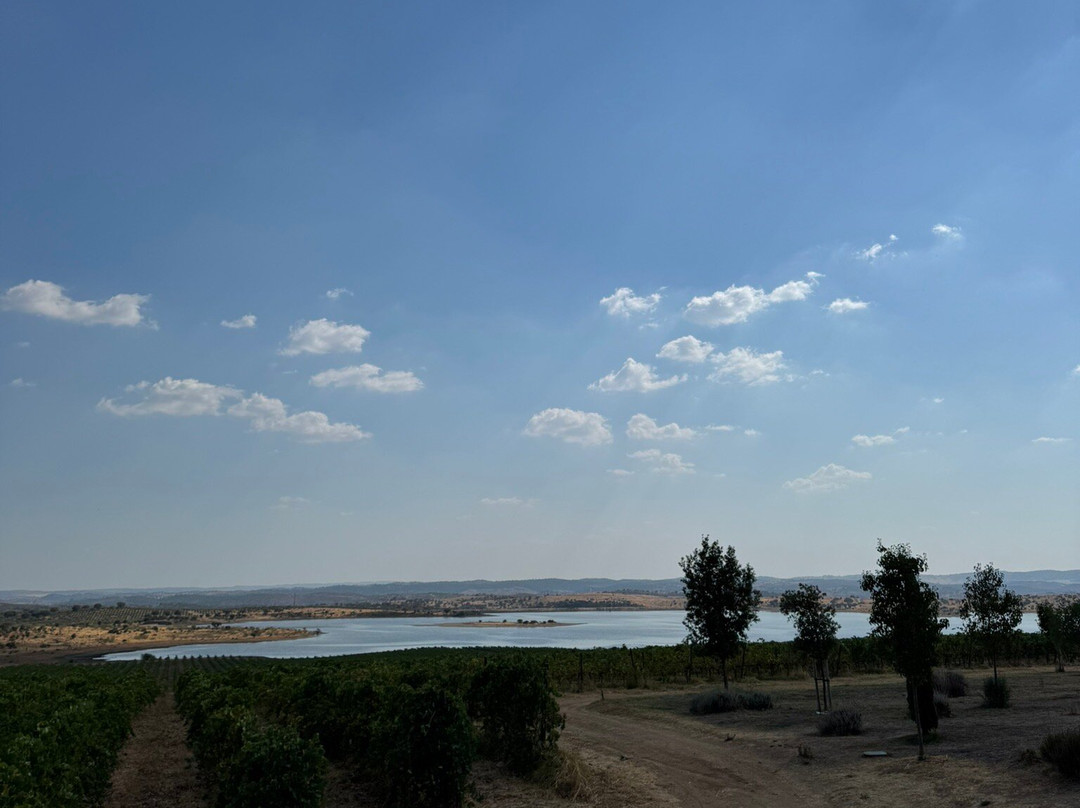 Herdade do Esporao-Reguengos de Monsaraz必去景点