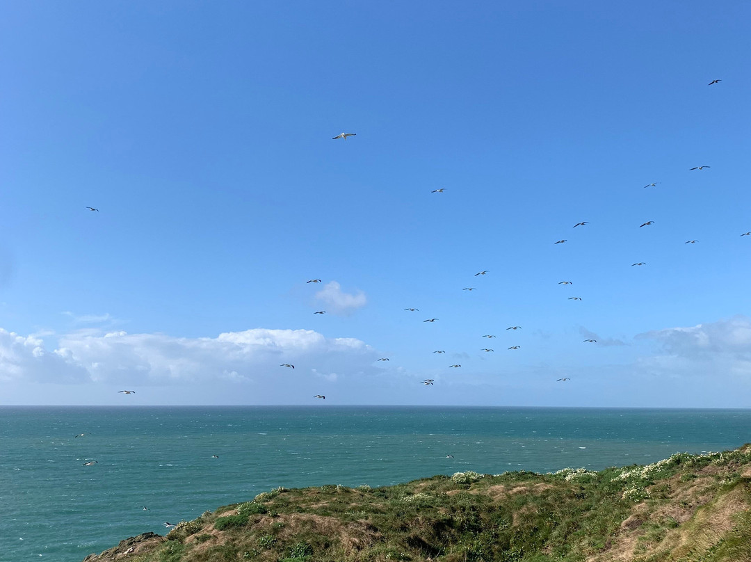 Ballycotton Island Lighthouse Tours-Ballycotton必去景点
