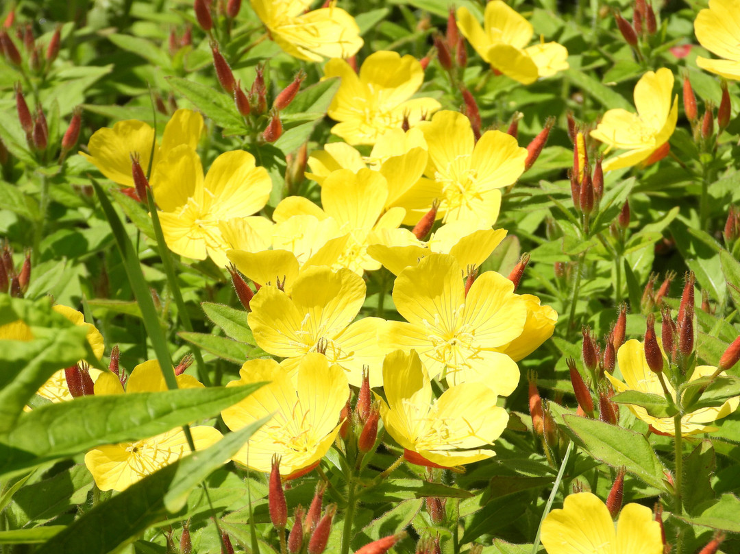 Frances Perkins Center-Newcastle必去景点