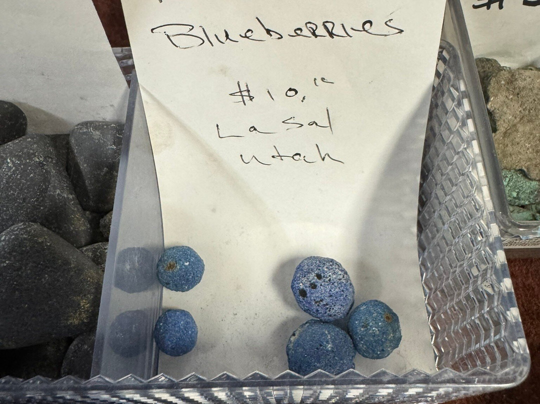 The Rock Shop-白马市必去景点