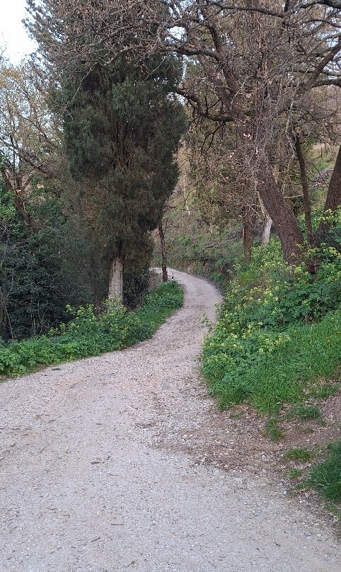 Villa Il Colle主图