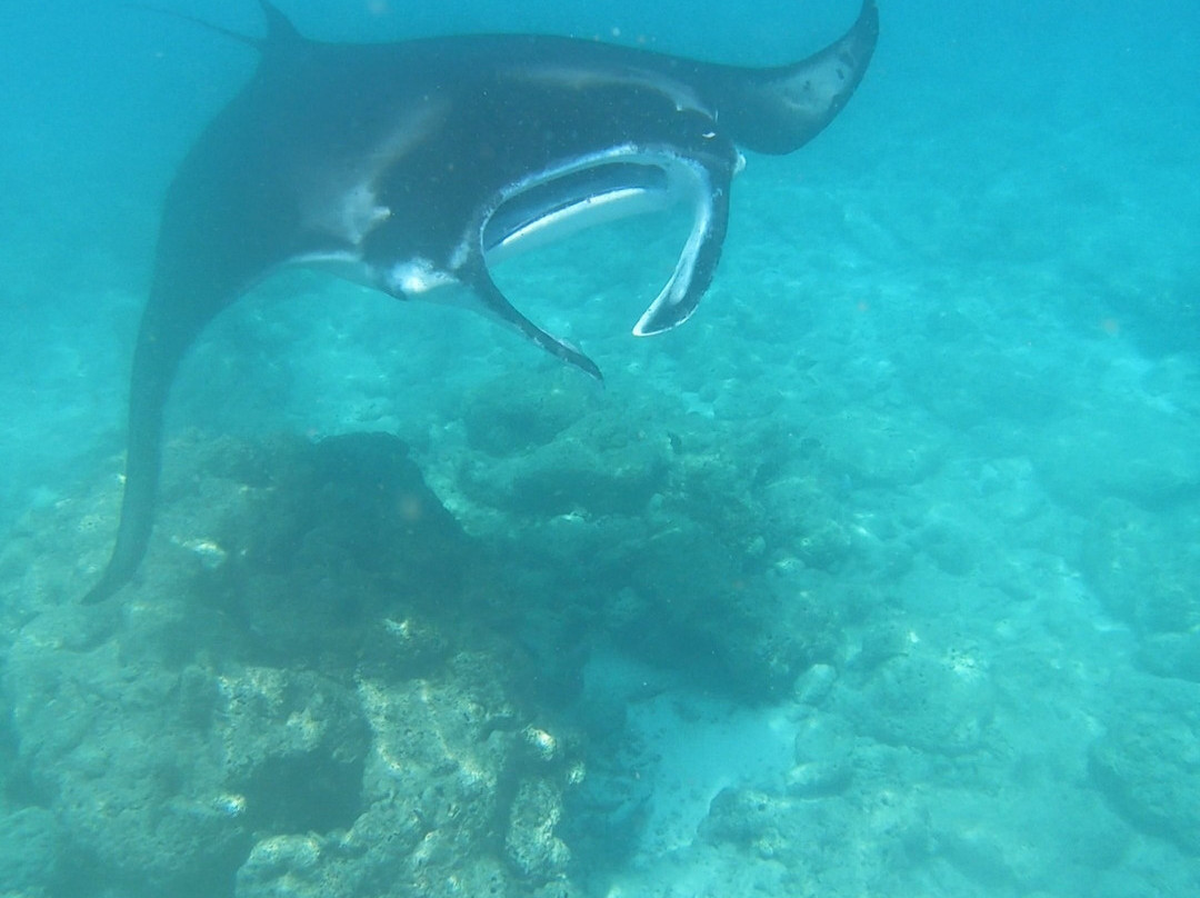 Fulidhoo Dive & Water Sports-Fulidhoo必去景点
