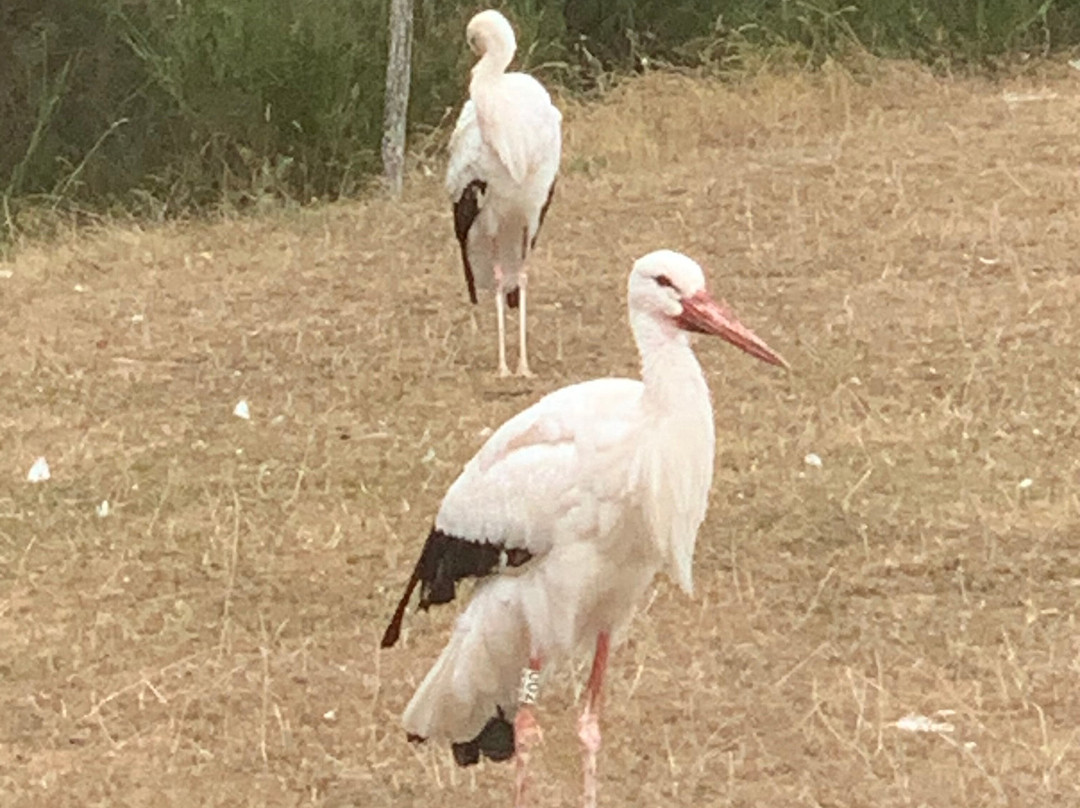 Natur'zoo de Mervent-Mervent必去景点