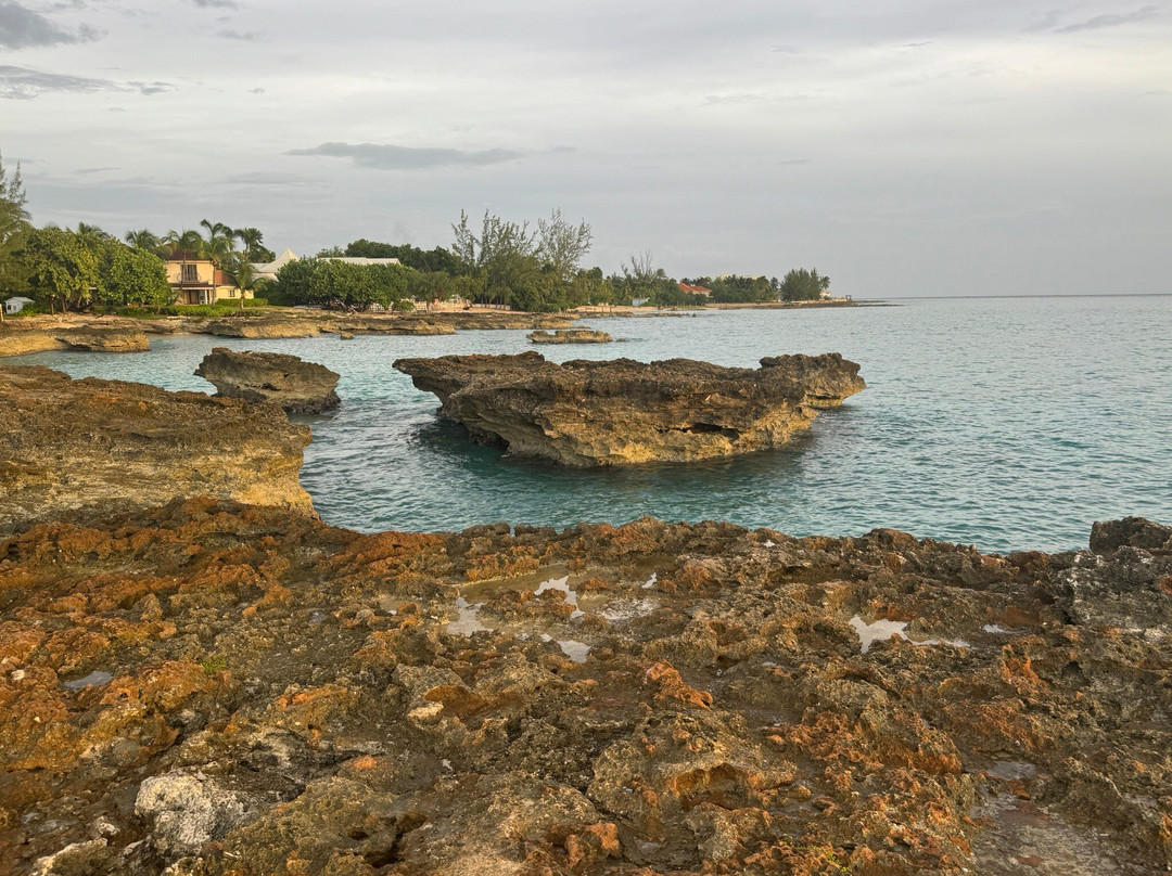 Smith Cove-大开曼岛必去景点